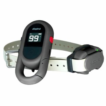 קולר אלקטרוני - Dogtra IQ FLEX (CUE GEN2)