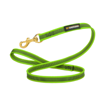 רצועת אחיזה באיכות גבוהה לכלב ירוק 180 ס"מ
