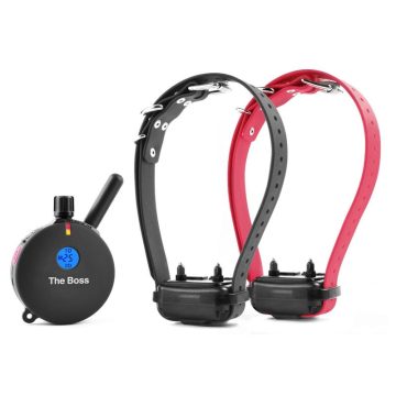 קולר אלקטרוני ל 2 כלבים - קולר אילוף חשמלי דה בוס E-Collar The boss (ET802)