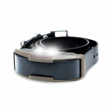 קולר מקורי חלופי - דוגטרה Dogtra 1200X / 1900X