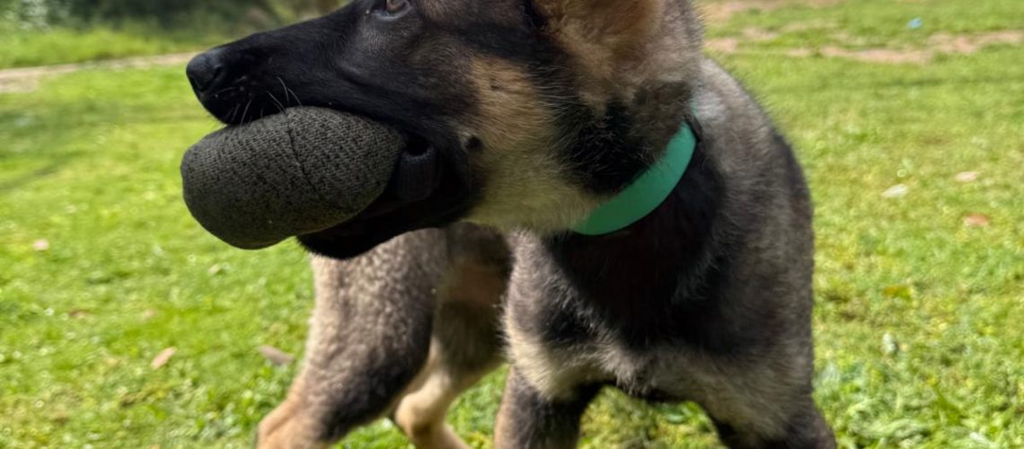 WhatsApp Image 2026-03-27 at 10.35.01