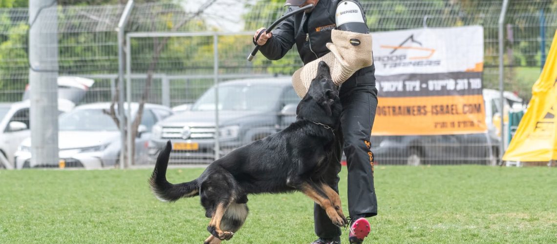 facebook_1772548837595_7434608679720272783