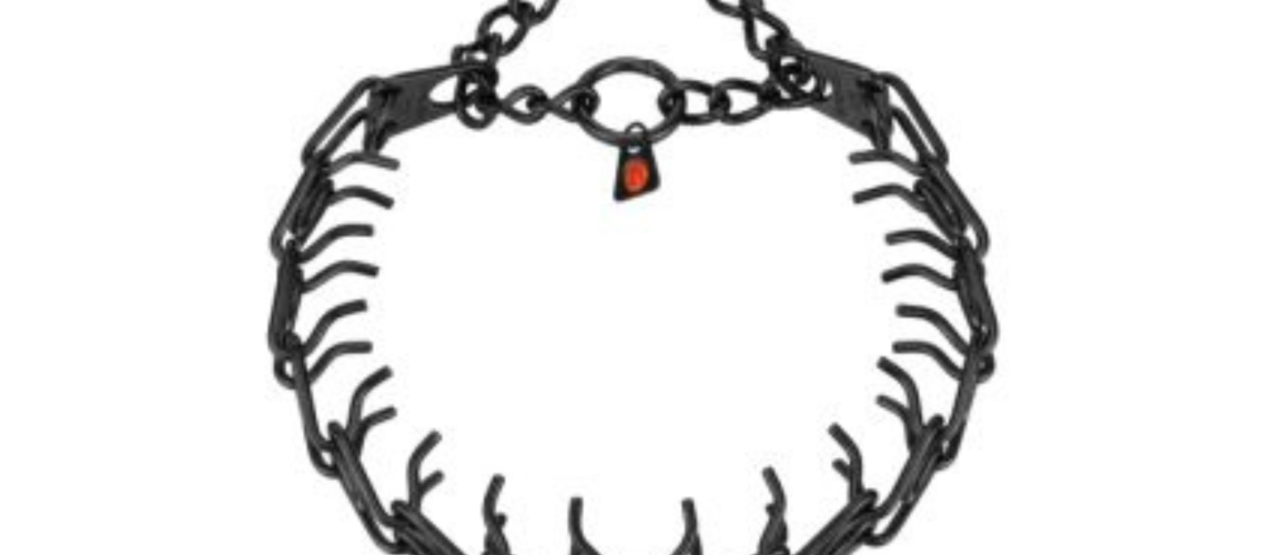 תמונות לקטגוריות אתר ובאנר נייד (3)